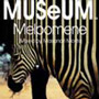 MUSeUM / Melpomene