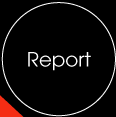 Report