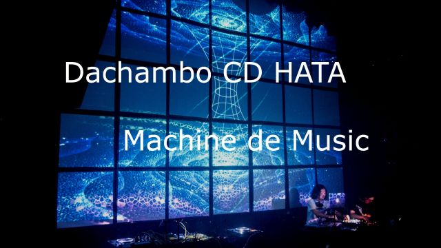 Dachambo HATAのMachine de Music 
コラムVol.37 
Sachiko Osawa 「Chronic」　日々研究 