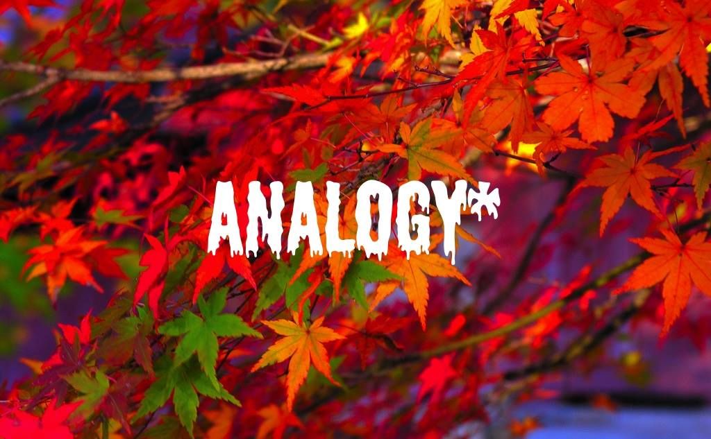 Analogy* 11