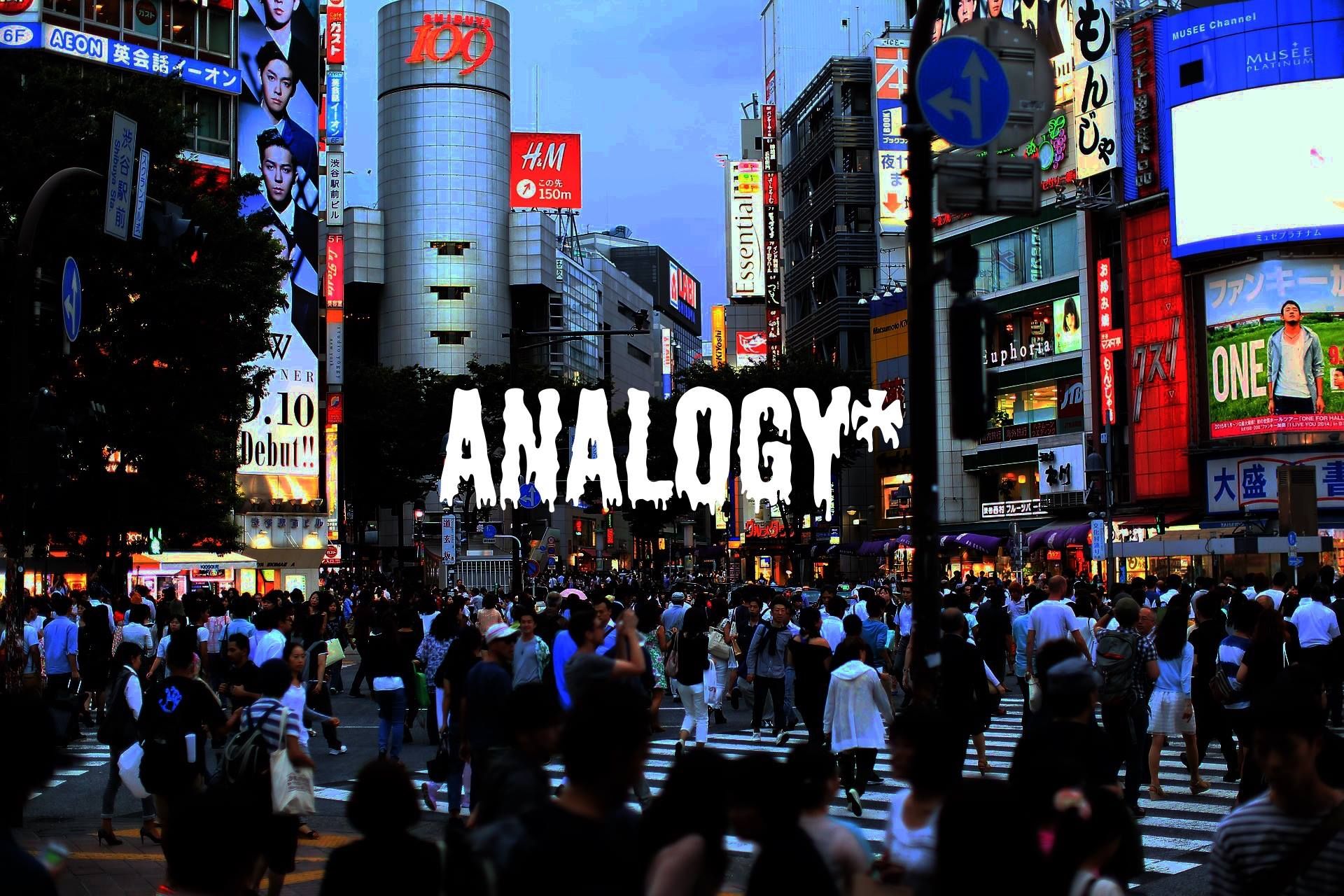 Analogy 13