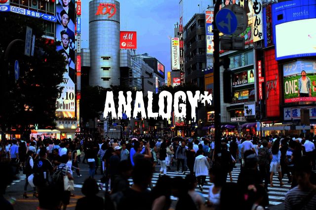 Analogy 13