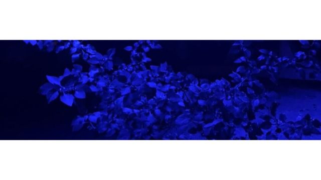 Floatsync