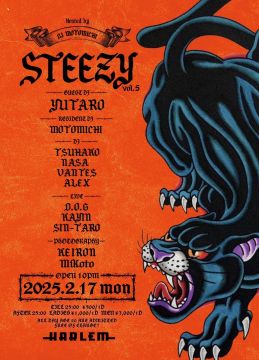 STEEZY VOL.5