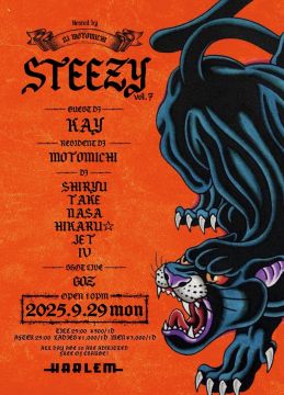 STEEZY