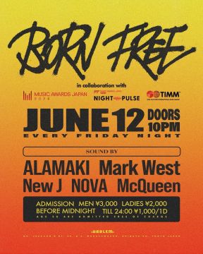 BORN FREE -in collaboration with MAJ NIGHT PULSE/ TIMM-