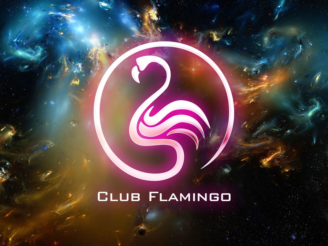 Club Flamingo(クラブフラミンゴ)