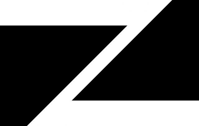 Z MARUYAMA