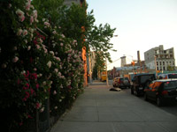 Street