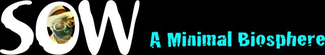 SOW - a minimal biosphere -