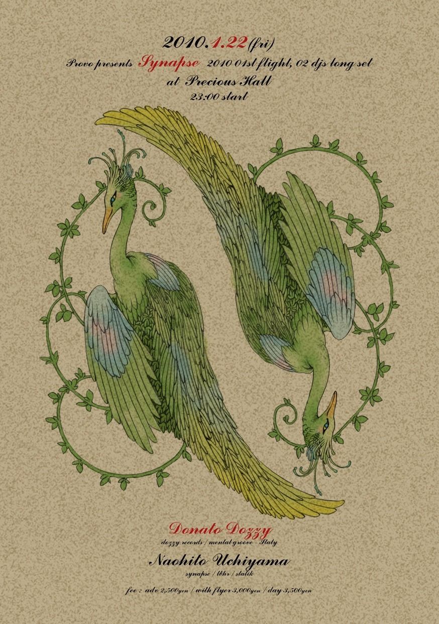 SYNAPSE 1st Flight, 2djs Long Set