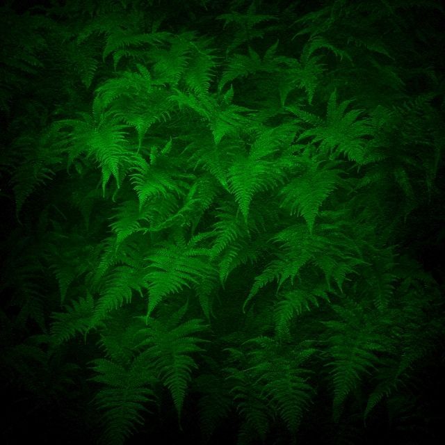 CAFE garage"ECM FIELD season XI"