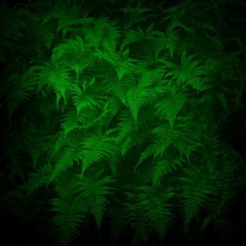 CAFE garage"ECM FIELD season XI"