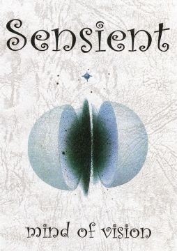 Sensient Japan Tour 2010 in Yokohama