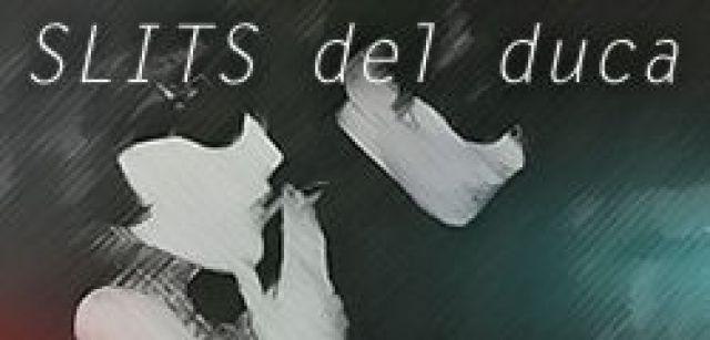 SLITS del duca