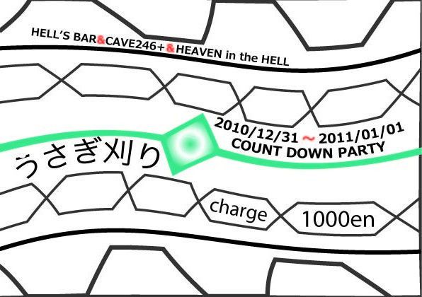 2010/12/31 to 2011/01/01 COUNT DOWN PARTY うさぎ狩り
