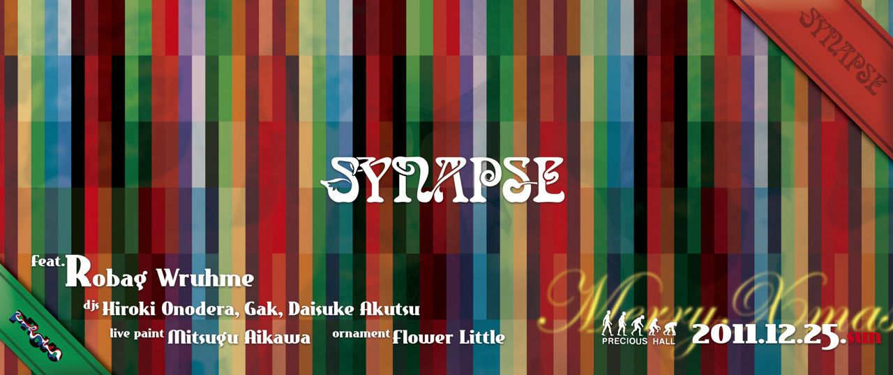 Synapse Christmas Specail feat. Robag Wruhme