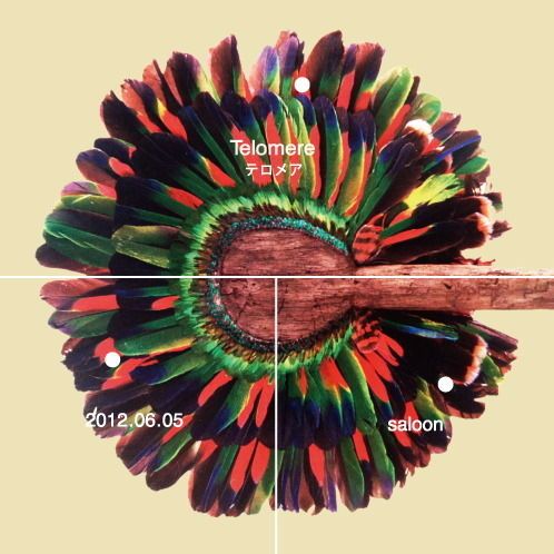 Telomere