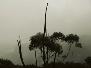 Monolake Live - The Ghosts in Surround -2nd show-