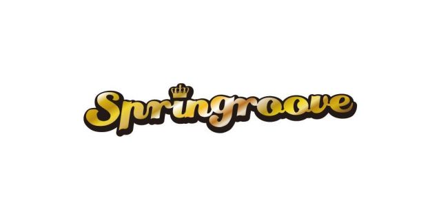 SPRINGROOVE 2013