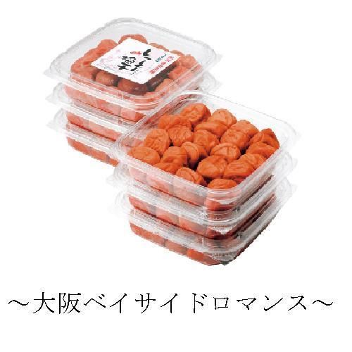 ～大阪ベイサイドロマンス～