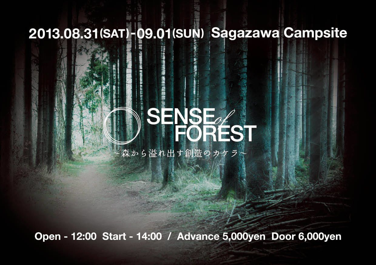 SENSE of FOREST