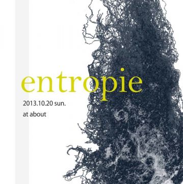 entropie