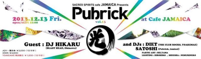 Pubrick vol13