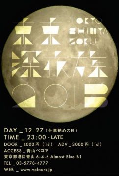 TOKYO SHINYA ZOKU 2013