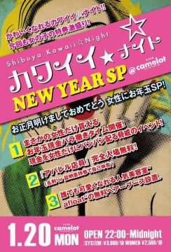 カワイイ☆ナイト