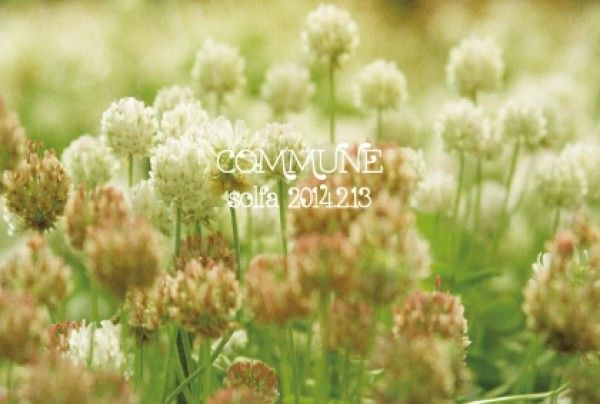 COMMUNE