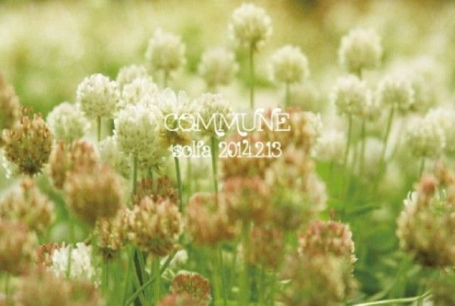 COMMUNE