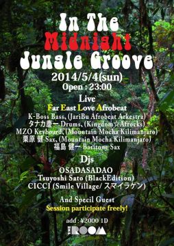 IN THE MIDNIGHT JUNGLE GROOVE 