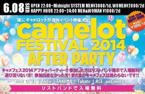 camelot FESTIVAL 2014 After Party