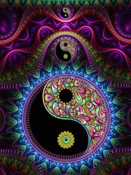 ◉陰陽蔡◎ 