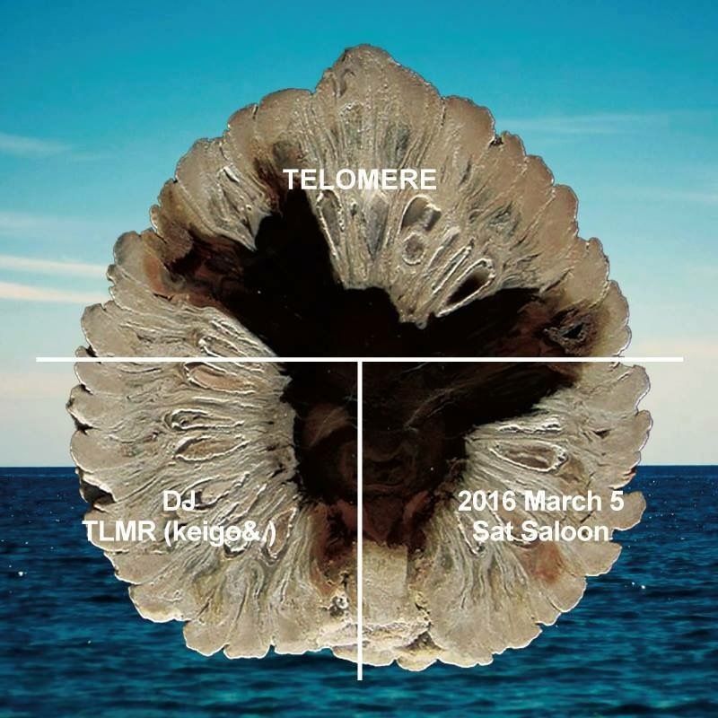 TELOMERE