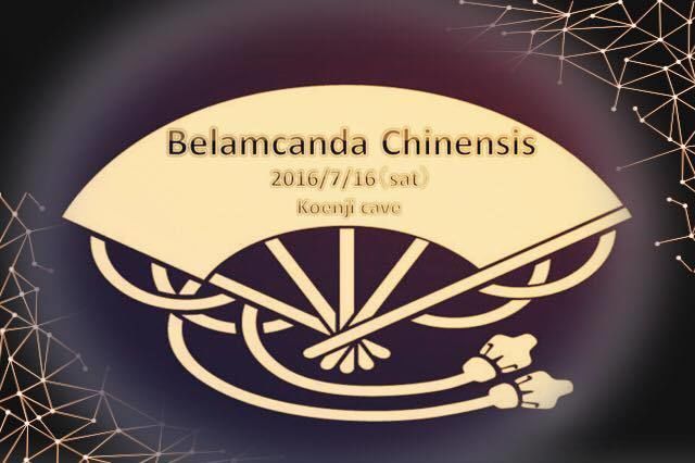 「Belamcanda chinensis」