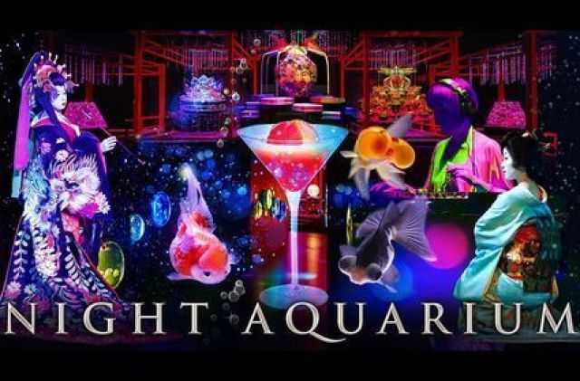ナイトアクアリウム - GORGON CITY -