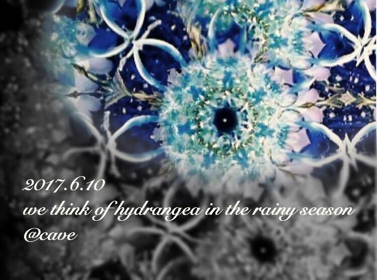 we think of hydrangea in the rainy season