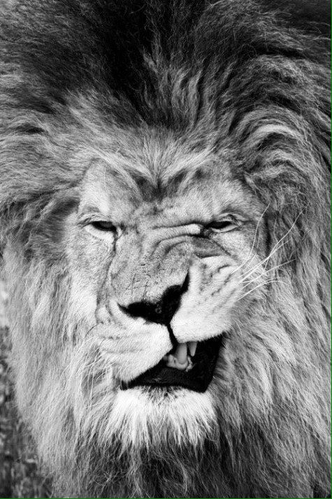 柔能く剛を制す