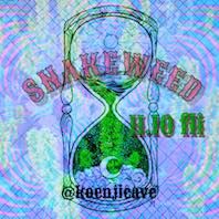 ﾟ⁺::;;:✭⁺ﾟSNAKE WEEDﾟ⁺::;;:✭⁺ﾟ
