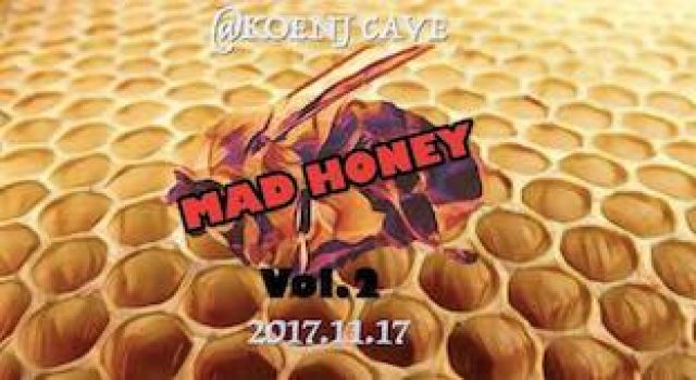 ﾟ⁺::;;:✭MAD HONEY⁺::;;:✭⁺ﾟ