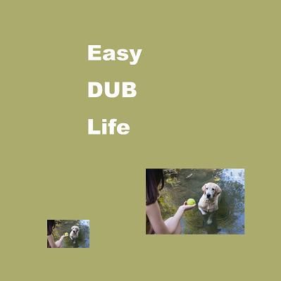 Easy DUB Life