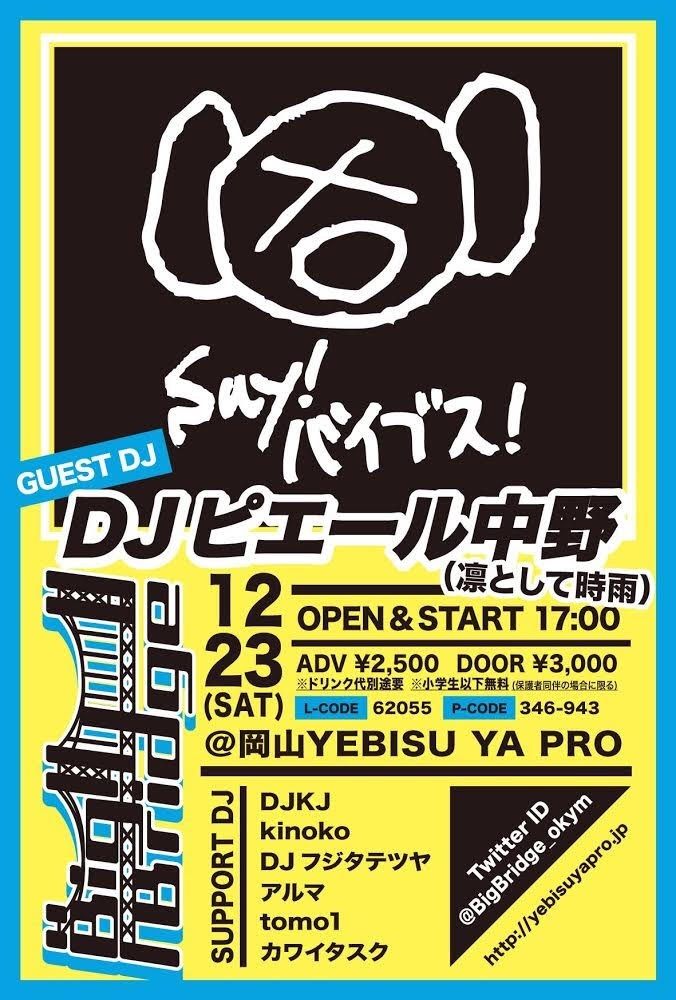 Big Bridge GUEST DJ : DJ ピエール中野(凛として時雨)