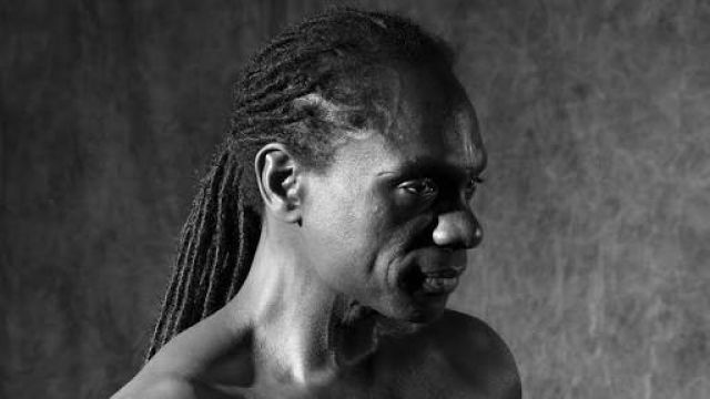 SHELTER JAPAN TOUR 2017 