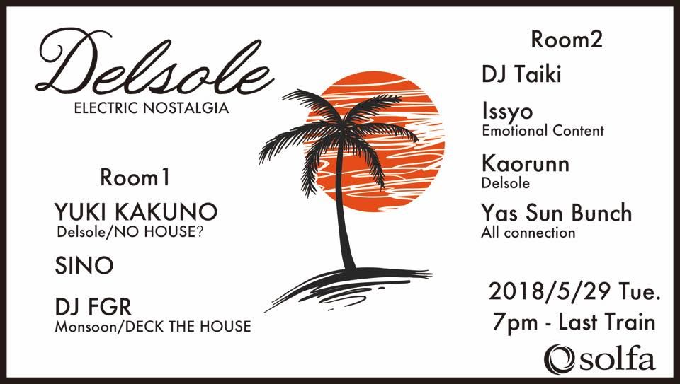 Delsole -Electric Nostalgia-