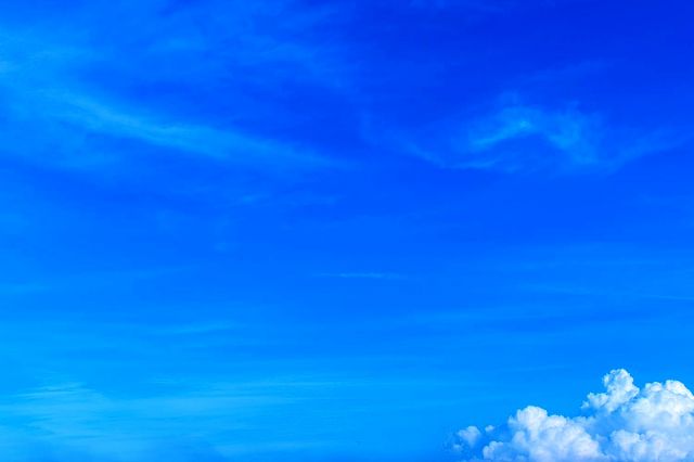 トーキョーシティポップス #36