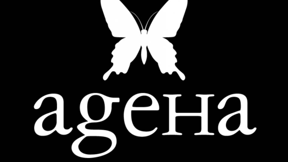 ageHa Summer Closing Party