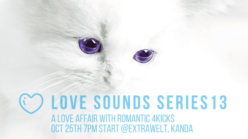 ラブサウンズシリーズ13