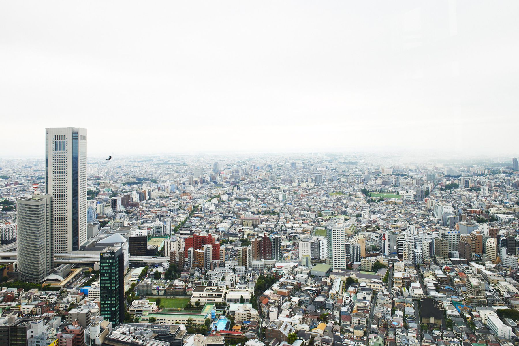 トーキョーシティポップス #37